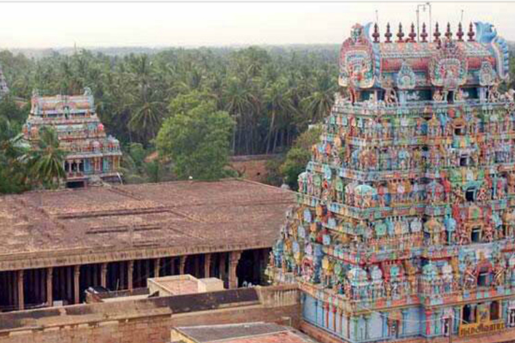 நாகமரமாய் வளர்ந்த முனிவர்!